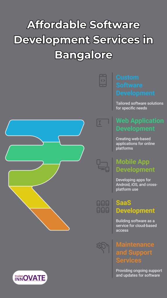 Affordable Software Development Services in Bangalore